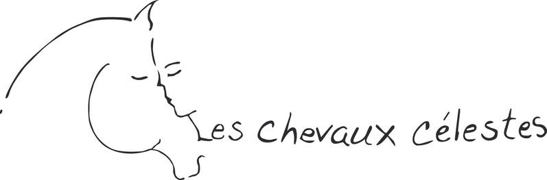 Les chevaux celestes